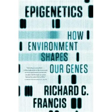 Epigenetics: How Environment Shapes Our Genes
