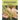 Agricultural Food Economics: Global Challenges and Developments