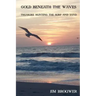 Gold Beneath the Waves: Treasure Hunting the Surf and Sand