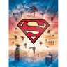 DC: Superman Tiny Book