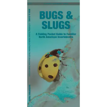 Bugs & Slugs: A Folding Pocket Guide to Familiar North American Invertebrates