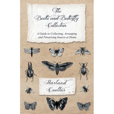 The Beetle and Butterfly Collection - A Guide to Collecting, Arranging and Preserving Insects at Home