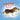 Cocoa the Basset Hound