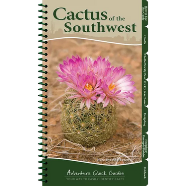 Cactus of the Southwest: Your Way to Easily Identify Cacti