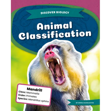 Animal Classification