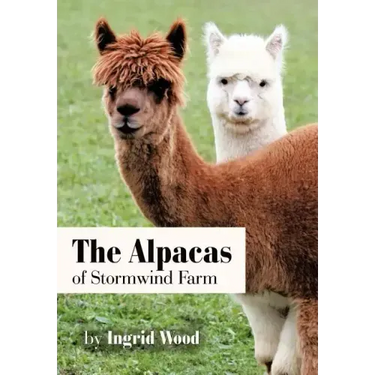 The Alpacas of Stormwind Farm