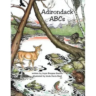 Adirondack ABCs