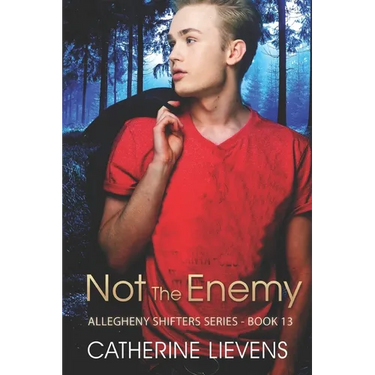 Not the Enemy