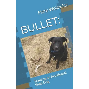 Bullet: Training an Accidental Shed Dog