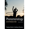 Phenomenology: An Introduction