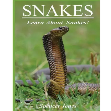 Snakes: Fun Facts & Amazing Pictures - Learn About Snakes