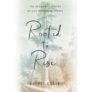 Rooted to Rise: The Redwood Legacies of Life-Anchoring People