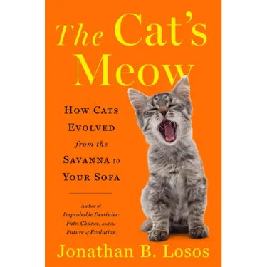 The Cat's Meow: How Cats Evolved from the Savanna to Your Sofa
