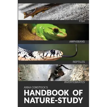 The Handbook Of Nature Study in Color - Fish, Reptiles, Amphibians, Invertebrates