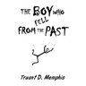 The Boy Who Fell From The Past
