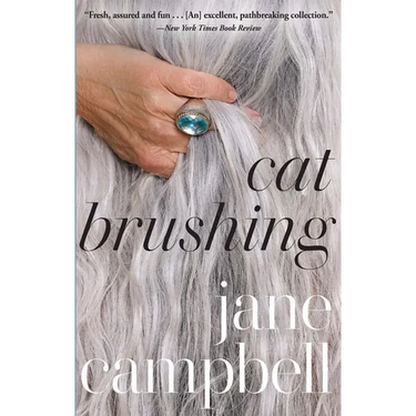 Cat Brushing
