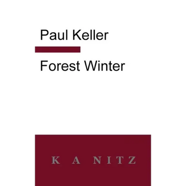 Forest Winter: A Novel of the Silesian Mountains