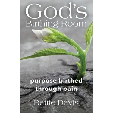 God's Birthing Room: Purpose Birthed Through Pain