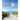 Choosewisely a Daily Devotional
