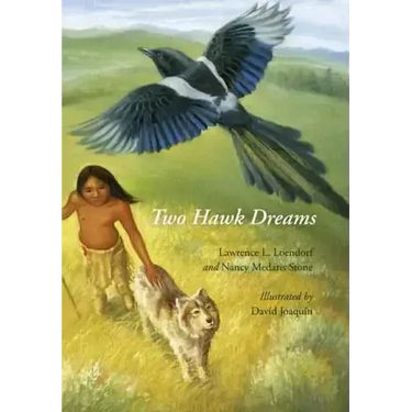 Two Hawk Dreams