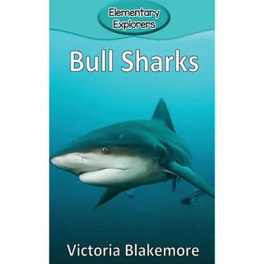 Bull Sharks