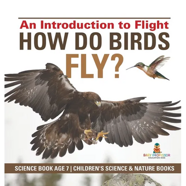 How Do Birds Fly? An Introduction to Flight - Science Book Age 7 Children's Science & Nature Books