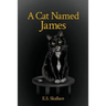 A Cat Named James