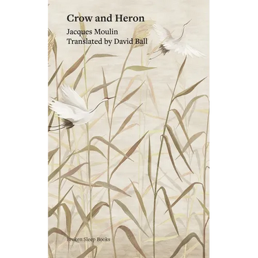 Crow and Heron