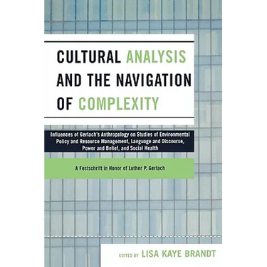 Cultural Analysis and the Navigation of Complexity