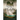 Spirit of the Plain