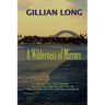 A Wilderness of Mirrors