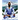 Brazilian Jiu Jitsu Curriculum