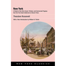 New York: A Sketch of the City's Social, Political, and Commercial Progress from the First Dutch Settlement to Recent Times