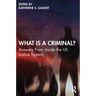 What Is a Criminal?: Answers from Inside the Us Justice System