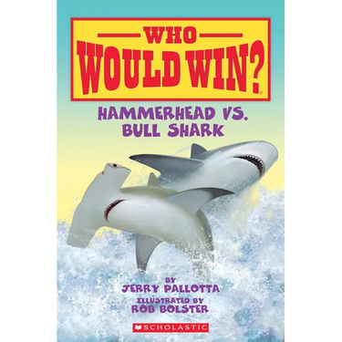 Hammerhead vs. Bull Shark ( Who Would Win? )