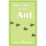 The Life of the Ant