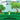 Cajun Tails: Alligator Fred Goes to the Park