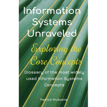 "Information Systems Unraveled: Exploring the Core Concepts"