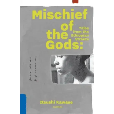Mischief of the Gods: Tales from the Ethiopian Streets