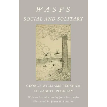 Wasps - Social and Solitary;With an Introduction by John Burroughs - Illustrated by James H. Emerton