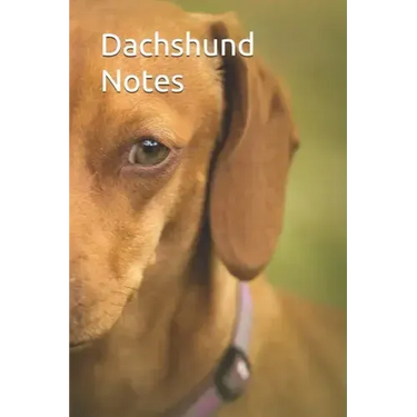 Dachshund Notes