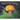 Mushroom Lullaby