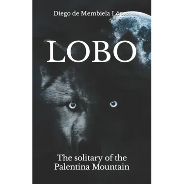 Lobo: The solitary of the Palentina Mountain