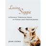 Losing Siggie
