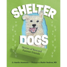 Shelter Dogs