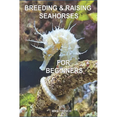 Breeding & Raising Seahorses: For Beginners