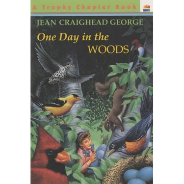 One Day in the Woods