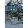 Shape-Shifter: a tribute to Gavin Selerie