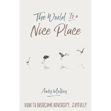 The World Is a Nice Place: How to Overcome Adversity, Joyfully