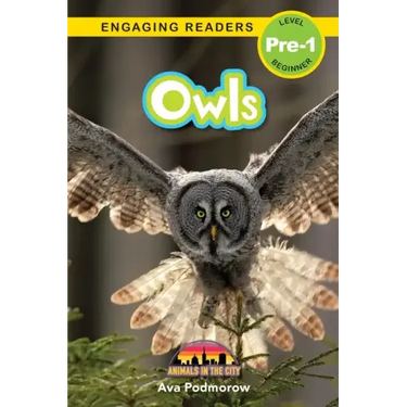 Owls: Animals in the City (Engaging Readers, Level Pre-1)